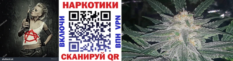 Где купить Чайковский Кокаин  МАРИХУАНА  Мефедрон  Alpha-PVP  Псилоцибиновые грибы  ГАШ 