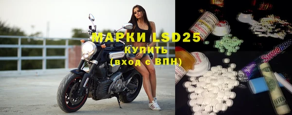 винт Аркадак