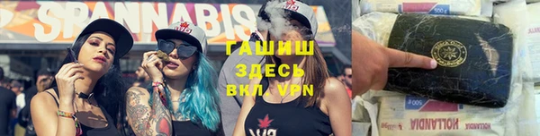 PSILOCYBIN Армянск