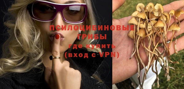 PSILOCYBIN Армянск