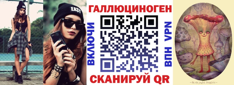где продают   Чайковский  Псилоцибиновые грибы GOLDEN TEACHER 