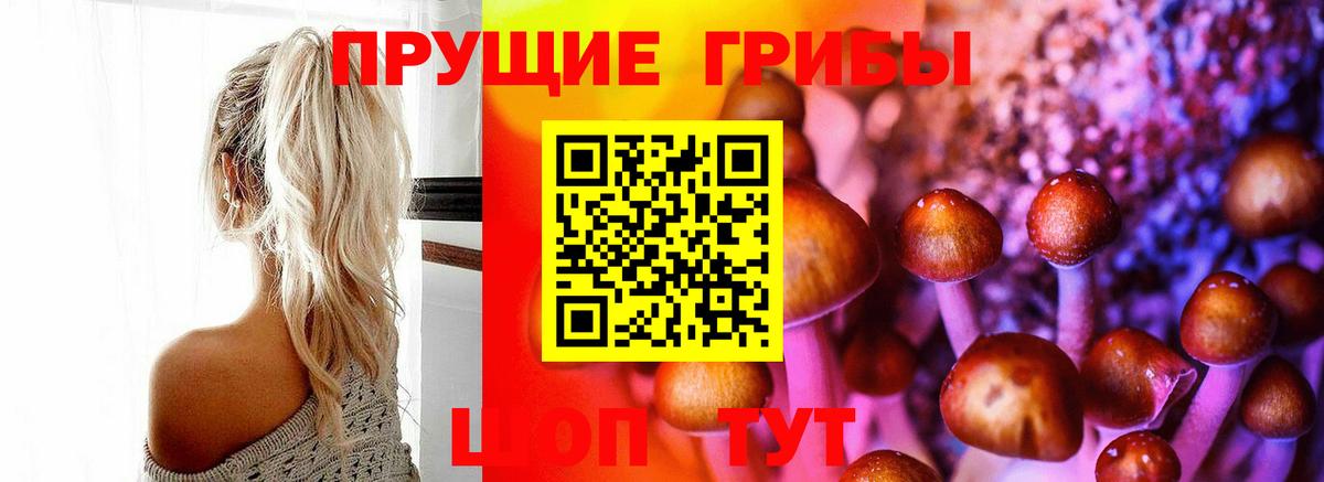 Галлюциногенные грибы мухоморы Чайковский